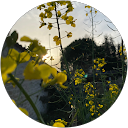 Quentin Bayon profile picture