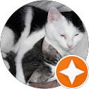 CLAUDE & LIONEL profile picture